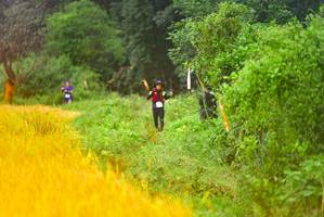 BIB: 
                            <button type="button" onclick="openModal(13456002)" class="btn btn-primary btn-sm float-right btn-popup" data-toggle="modal" data-target=".modal-high-quality">
                        <i class="fas fa-shopping-cart"></i> Add to Cart
                    </button>
                                            <button type="button" onclick="isThisMe(13456002, true)" class="btn btn-success btn-sm float-right btn-popup btn-isme hidden" data-toggle="tooltip" data-placement="bottom" title="นี่คือรูปของคุณใช่ไหม คลิกที่นี่เพื่อเอาเข้าอัลบั้ม">
                        <i class="fas fa-plus"></i> Add to album
                    </button>
                    <button type="button" onclick="isThisMe(13456002, false)" class="btn btn-warning btn-sm float-right btn-popup btn-isnotme hidden">
                        <i class="fas fa-ban"></i> Remove from album
                    </button>